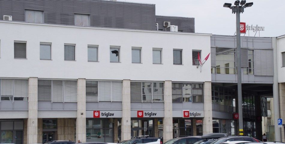 Novo mesto, prodamo skladišče, 268 m2